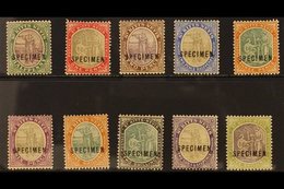 1903 Complete Set, Overprinted "SPECIMEN", SG 1/10s, Fine Mint. (10) For More Images, Please Visit Http://www.sandafayre - St.Kitts En Nevis ( 1983-...)