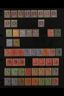 1902-1951 MINT COLLECTION On Stock Pages, Includes 1902 Set To 6d & 2s, 1904-11 2½d, 1907-08 Set (ex 1d), 1921-32 Most V - St.Vincent (...-1979)