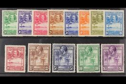 1932 Palms And Cola Tree Set Complete, SG 155/67, Very Fine Mint. (13 Stamps) For More Images, Please Visit Http://www.s - Sierra Leone (...-1960)