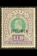 NATAL 1902 £1.10 Green And Violet Opt'd "SPECIMEN", SG 143s, Very Fine Mint. For More Images, Please Visit Http://www.sa - Ohne Zuordnung