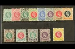 NATAL 1902-03 Complete Set SG 127/139, Fine Mint. (13 Stamps) For More Images, Please Visit Http://www.sandafayre.com/it - Non Classés