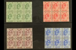 TRANSVAAL 1905-09 KEVII Set, SG 273/76, In Very Fine Mint BLOCKS OF SIX (3 X 2), At Least 4 Stamps In Each Block Never H - Non Classés