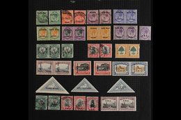 1923-54 MINT & USED OLD AUCTION LOT. A Most Useful Range Presented On A Variety Of Album Pages, At A Glance (in Correct  - Africa Del Sud-Ovest (1923-1990)