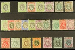 1901-1912 ALL DIFFERENT MINT SELECTION Presented On A Stock Card That Includes 1903-04 Most Values To 1s & 2s6d; 1904-09 - Nigeria (...-1960)