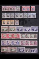 1924-1964 FINE MINT COLLECTION On Stock Pages, Includes 1924-29 Most Vals To 2s6d Incl ½d (x3) & 1d (x3) Imperf To Top O - Rhodésie Du Sud (...-1964)