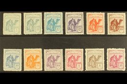 SAHARA 1924 Tuareg And Camel A.000,000 SPECIMEN Set Complete, SG 1/12 (Edifil 1N/12N, Very Fine Mint (12 Stamps) For Mor - Altri & Non Classificati