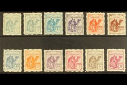 SAHARA 1924 Tuareg And Camel A.000,000 SPECIMEN Set Complete, SG 1/12 (Edifil 1N/12N, Very Fine Mint (12 Stamps) For Mor - Autres & Non Classés