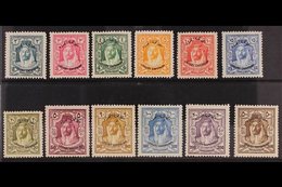 1930 "Locust Campaign" Overprints Complete Set, SG 183/94, Very Fine Mint, Fresh. (12 Stamps) For More Images, Please Vi - Giordania