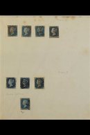 1840 TWOPENNY BLUES Ancient Album Page With EIGHT Used Examples, Four Each Of Plate 1 & Plate 2 With A Range Of Shades,  - Altri & Non Classificati