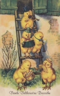 Easter Chicks Accordion Violin Trumpet Clarinet Drums Music Old Postcard 20s - Easter
