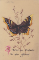 ¤¤  -  Petite Carte En Célluloïd   -  PAPILLON   - Voir Description   -  ¤¤ - Papillons