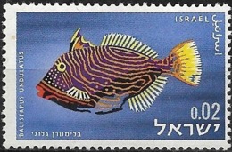 ISRAEL 1963 Red Sea Fish - 2a - Undulate Triggerfish MH - Ungebraucht (ohne Tabs)