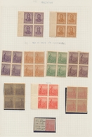 Argentinien: 1860/1990 (ca.), Used And Mint Collection/accumulation On Leaves/in Stockbook, With Ple - Other & Unclassified