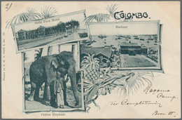 Ceylon / Sri Lanka: 1901-02 P.O.W. Mail: Collection Of 74 Picture Postcards (almost All Different) F - Sri Lanka (Ceylan) (1948-...)