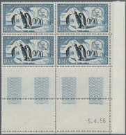 Französische Gebiete In Der Antarktis: 1956, Emperor Penguin Airmail Issue 100fr. In A Lot With 100 - Lettres & Documents