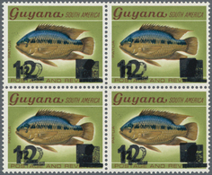 Guyana: 1980/1990 (ca.), Duplicated Accumulation In Large Box With Perforated And IMPERFORATE Single - Guyane (1966-...)