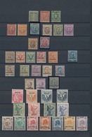 Italienisch-Eritrea: 1893/1934, A Mint High-class Collection Incl. Many Interesting And Better Issue - Erythrée