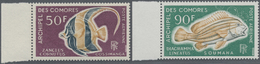 Komoren: 1968, Fishes Airmail Stamps 50fr. ‚Zanclus Cornutus‘ And 90fr. ‚Gaterin Lineatus‘ In A Lot - Comores (1975-...)