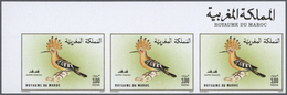 Marokko: 1973/1991, U/m Accumulation Of Apprx. 1.900 IMPERFORATE Stamps, Mainly Within Units Incl. M - Lettres & Documents