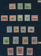 Nordborneo: 1883-1947: Mint And Used Collection Plus Covers And Postal Stationery Items On Stock Pag - Borneo Septentrional (...-1963)