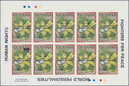 Thematik: Flora, Botanik / Flora, Botany, Bloom: 1975/1990 (ca.), GUYANA: Duplicated Accumulation In - Altri & Non Classificati