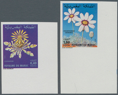 Thematik: Flora, Botanik / Flora, Botany, Bloom: 1979, MOROCCO: Flowers Set Of Two 0.40dh. ‚Centaure - Otros & Sin Clasificación