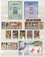 Thematik: Flora, Botanik / Flora, Botany, Bloom: 1990/2000 (ca.), Flowers, Comprehensive MNH Accumul - Andere & Zonder Classificatie