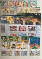 Thematik: Pilze / Mushrooms: 1958 - 2008 (ca.), Comprehensive, Mostly Stamped Collection Of 488 Diff - Pilze