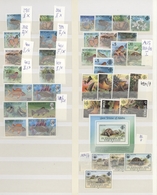 Thematik: Tiere, Fauna / Animals, Fauna: 1950/2000 (ca.), Mainly Modern Issues, Comprehensive MNH Ac - Other & Unclassified
