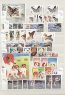 Thematik: Tiere, Fauna / Animals, Fauna: 1960/2005 (ca.), Mainly Modern Issues, Comprehensive MNH Ac - Otros & Sin Clasificación