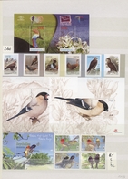 Thematik: Tiere, Fauna / Animals, Fauna: 1960/2010 (ca.), Comprehensive MNH Accumulation In Four Sto - Andere & Zonder Classificatie