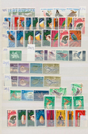 Thematik: Tiere, Fauna / Animals, Fauna: 1965/2000 (ca.), Mainly Modern Issues, Comprehensive MNH Ac - Otros & Sin Clasificación