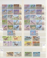 Thematik: Tiere, Fauna / Animals, Fauna: 1970/2000 (ca.), Mainly Modern Issues, Comprehensive MNH Ac - Altri & Non Classificati