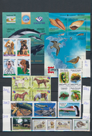 Thematik: Tiere, Fauna / Animals, Fauna: 1970/2000 (ca.), Mainly Modern Issues, Comprehensive MNH Ac - Other & Unclassified