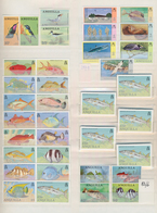 Thematik: Tiere, Fauna / Animals, Fauna: 1980/2000 (ca.), Mainly Modern Issues, Comprehensive MNH Ac - Other & Unclassified