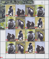 Thematik: Tiere-Affen / Animals-monkeys: 2004, Angola: MONKEYS (Angola Colobus), Complete Set Of 4 M - Singes