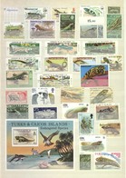 Thematik: Tiere-Reptilien / Animals-reptiles: 1960/2000 (ca.), REPTILES/AMPHIBIAN, Comprehensive MNH - Andere & Zonder Classificatie