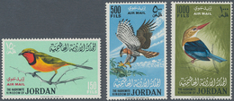 Thematik: Tiere-Vögel / Animals-birds: 1964-76 BIRDS: Group Of 4 Complete Sets From Arab Middle East - Otros & Sin Clasificación