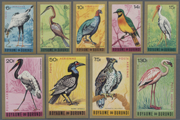 Thematik: Tiere-Vögel / Animals-birds: 1965, BURUNDI: Birds Airmails Complete IMPERFORATE Set Of Nin - Otros & Sin Clasificación