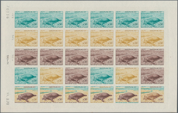 Thematik: Tiere-Meeressäuger (u.a. Wale) / Animals-aquatic Mammals: 1970, Monaco, 0.50fr. "Common Se - Other & Unclassified