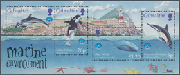 Thematik: Tiere-Meeressäuger (u.a. Wale) / Animals-aquatic Mammals: 1998, Gibraltar: Whales And Dolp - Altri & Non Classificati