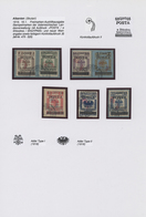 Albanien: 1919/1922, Specialised Collecion Of Overprint Issues On Written Up Album Pages, Comprising - Albanie