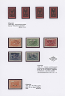 Albanien: 1923/1943, A Splendid Mint Collection On Written Up Pages Incl. 1924 Overprints (four Issu - Albanië