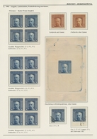 Bosnien Und Herzegowina (Österreich 1879/1918): 1879/1918, Extraordinary Specialised Collection On 1 - Bosnië En Herzegovina