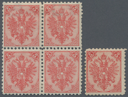 Bosnien Und Herzegowina: 1879/1899, Definitives "Double Eagle", 5kr. Red, Specialised Assortment Of - Bosnië En Herzegovina