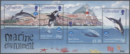 Gibraltar: 1998, Gibraltar: Whales And Dolphines, 1100 Copies Of The Souvenir Sheet Mint Never Hinge - Gibilterra