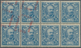 Montenegro: 1896/1906, Specialised Mint Assortment Of Apprx. 237 Stamps Incl. Several Units, Special - Montenegro