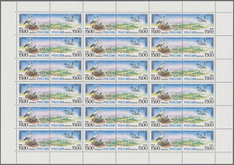 Russland: 1995, Europa (White Stork), 3600 Sets Of This Issue In Sheets Of 18 Sets (pairs) Mint Neve - Lettres & Documents