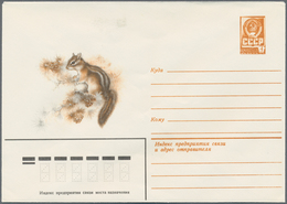 Sowjetunion - Ganzsachen: 1979 Accumulation Of Ca. 1.240 Unused Picture Postal Stationery Envelopes, - Unclassified