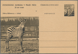 Tschechoslowakei: 1919/2005 Holding Of Ca. 890 Letters, Cards And Postal Stationary (mostly Many Unu - Used Stamps